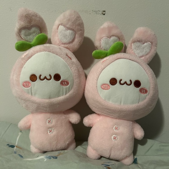 Cute pink bunnies with a strawberry onesie - Picture 1 of 5